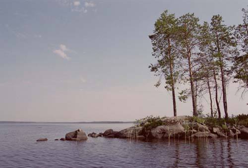 sula02
